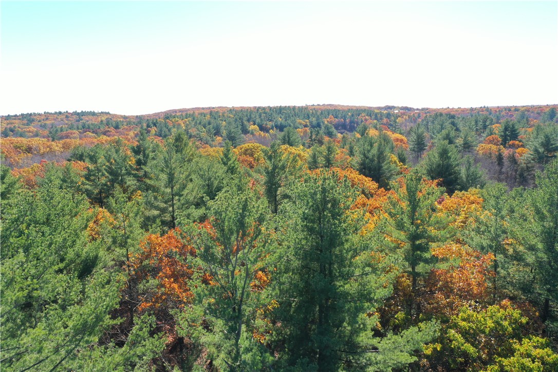 450 Log Road Smithfield, RI 02917 - Photo 7 of 49