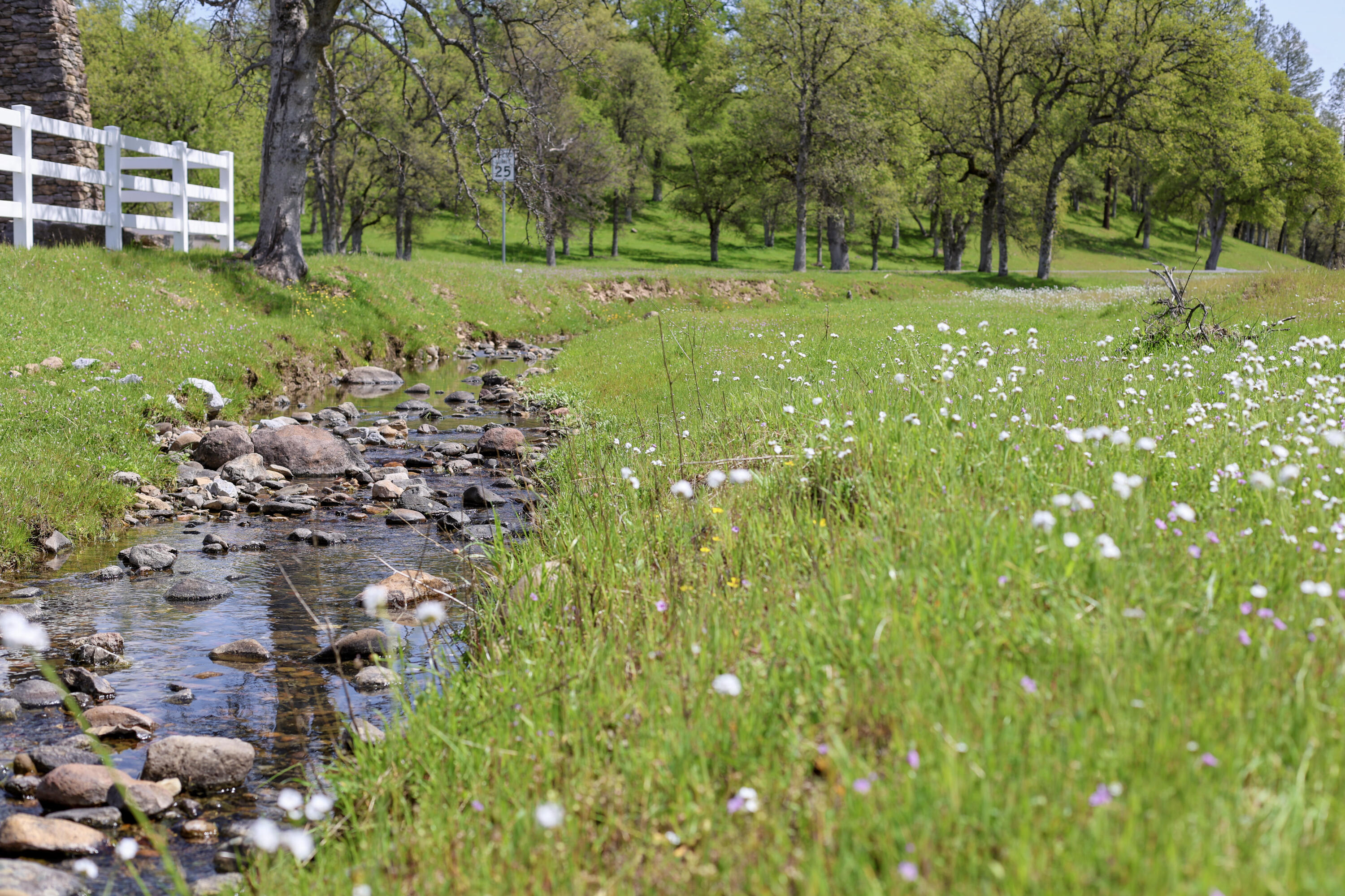 17 Bass Pond Road Palo Cedro, CA 96073 - Photo 14 of 23 Silverbridge Highlands