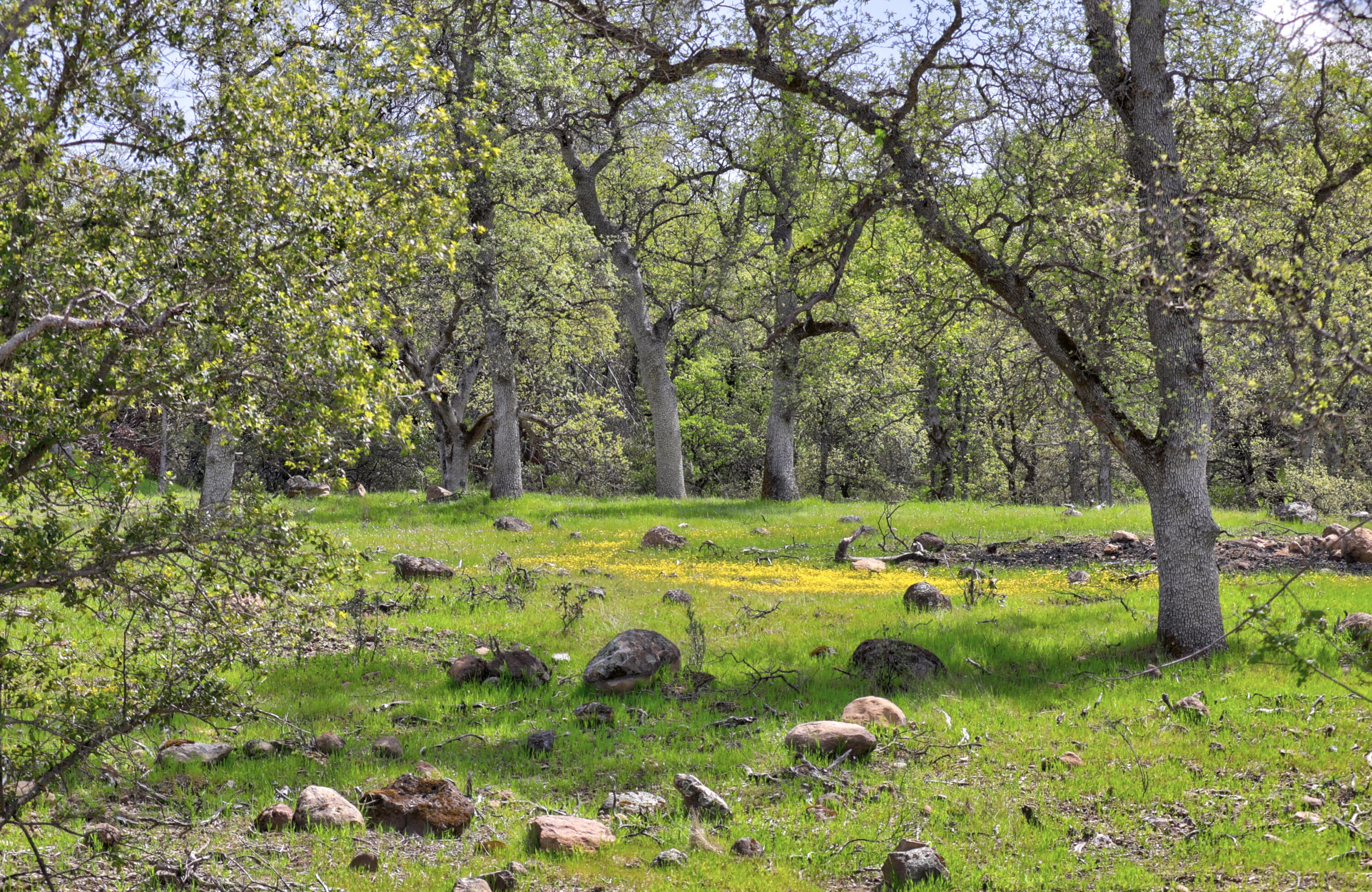 17 Bass Pond Road Palo Cedro, CA 96073 - Photo 17 of 23 Silverbridge Highlands