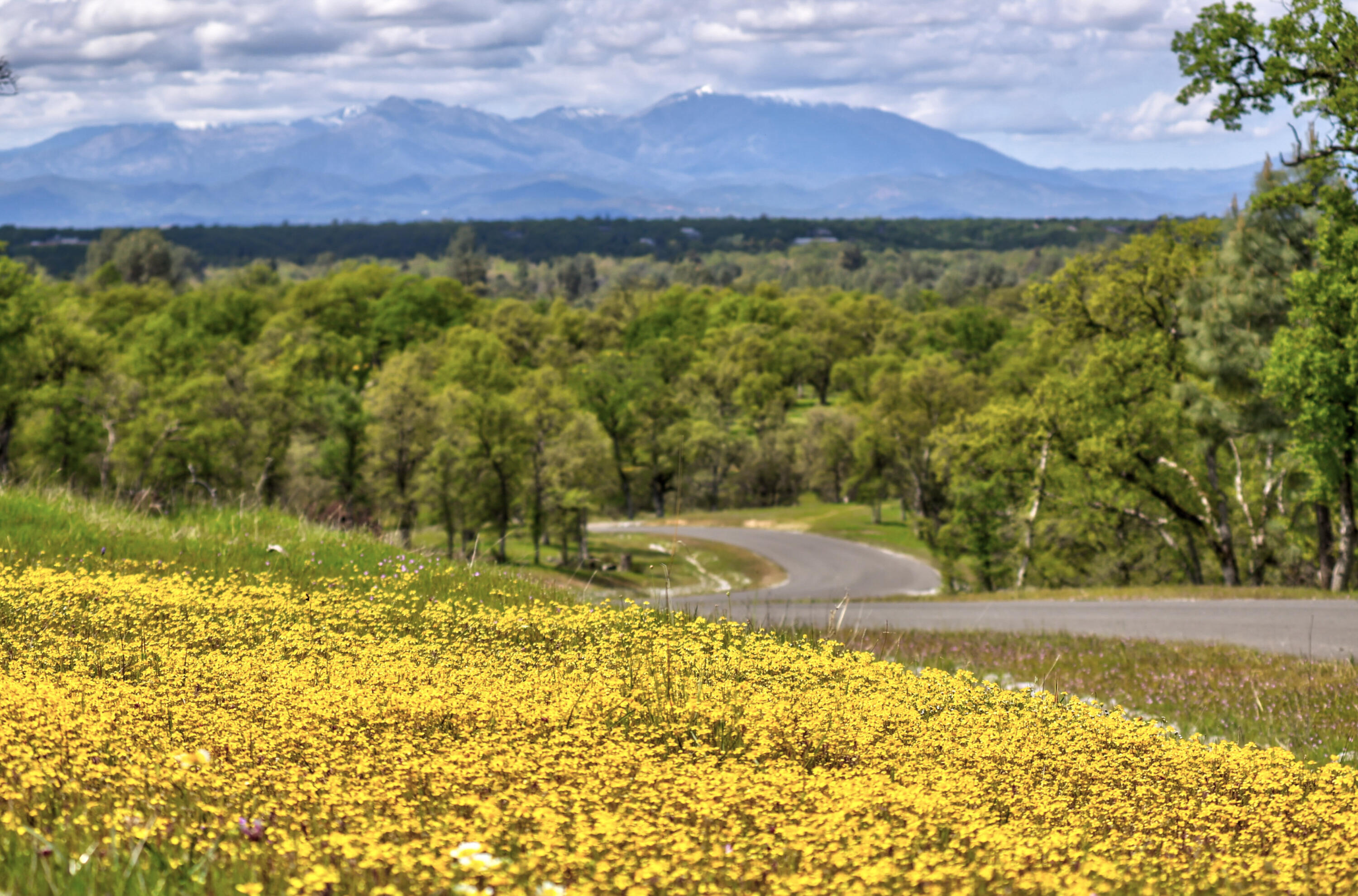 17 Bass Pond Road Palo Cedro, CA 96073 - Photo 18 of 23 Silverbridge Highlands