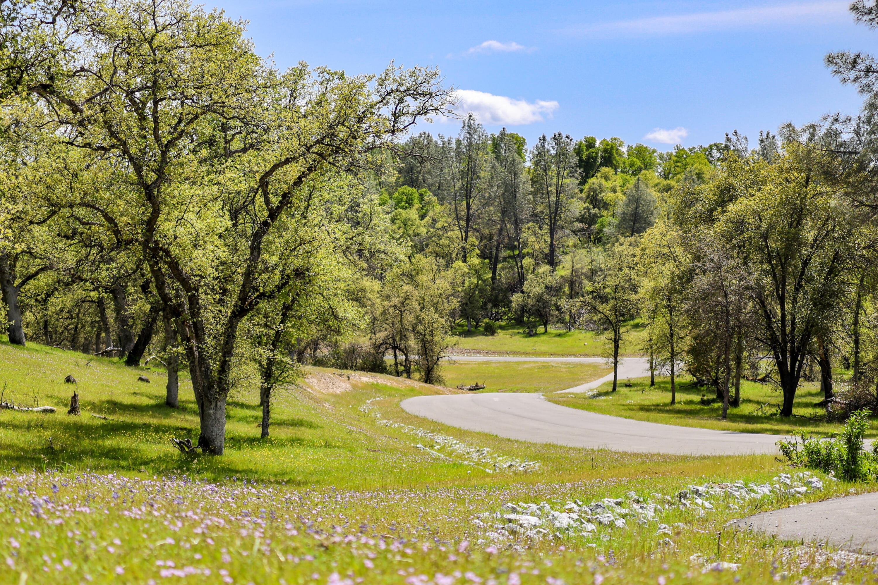 17 Bass Pond Road Palo Cedro, CA 96073 - Photo 22 of 22 Silverbridge Highlands