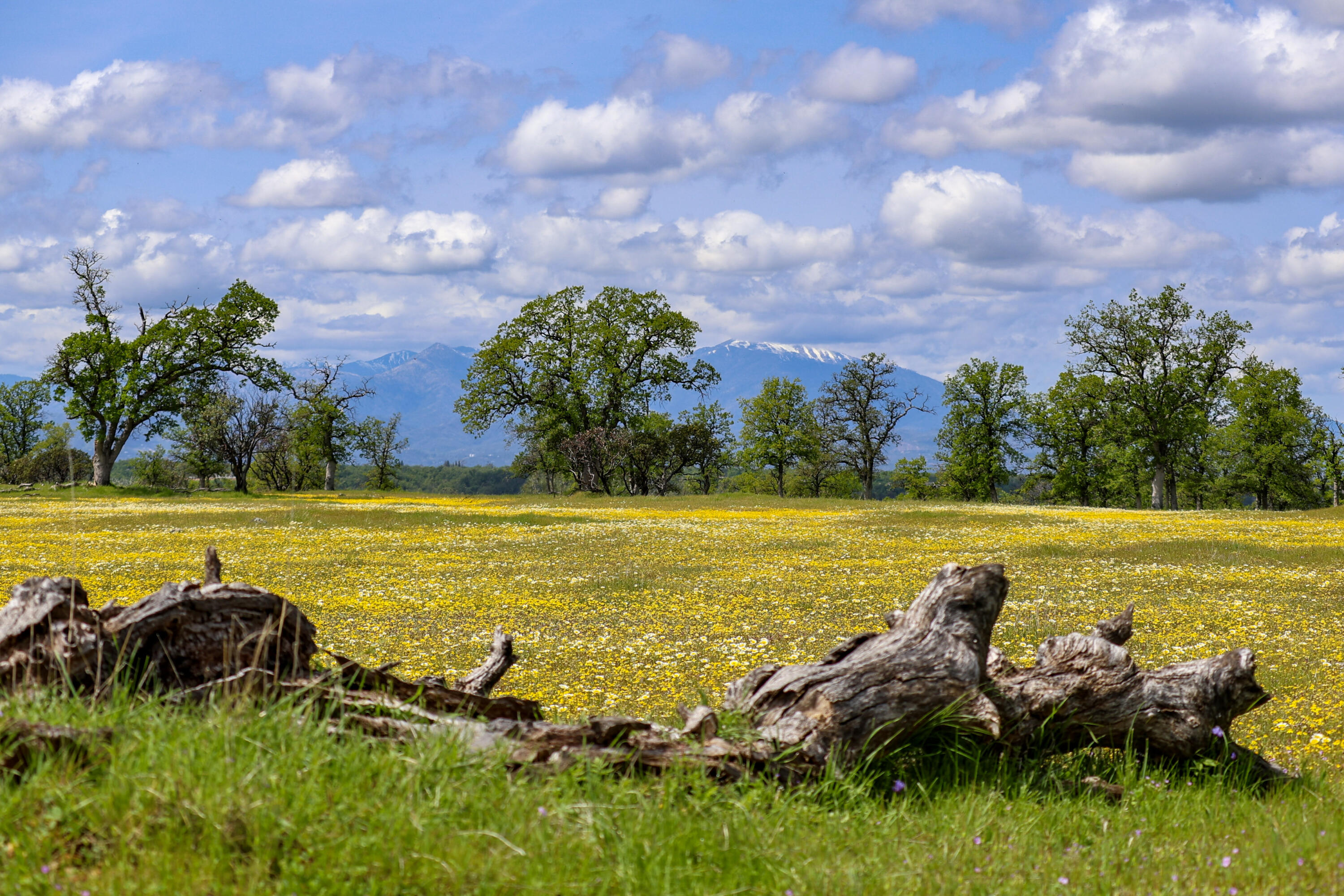17 Bass Pond Road Palo Cedro, CA 96073 - Photo 4 of 23 Silverbridge Highlands