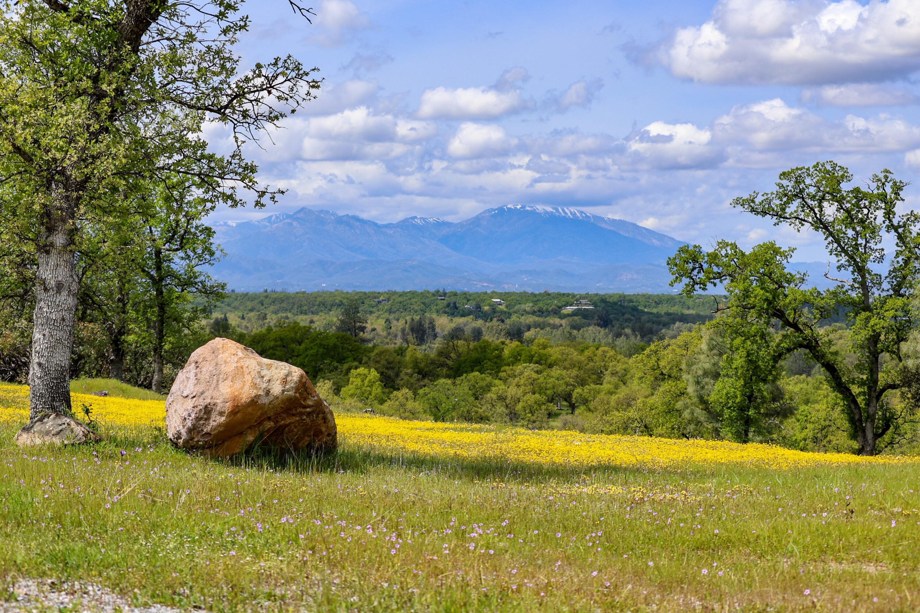 17 Bass Pond Road Palo Cedro, CA 96073 - Photo 7 of 23 Silverbridge Highlands