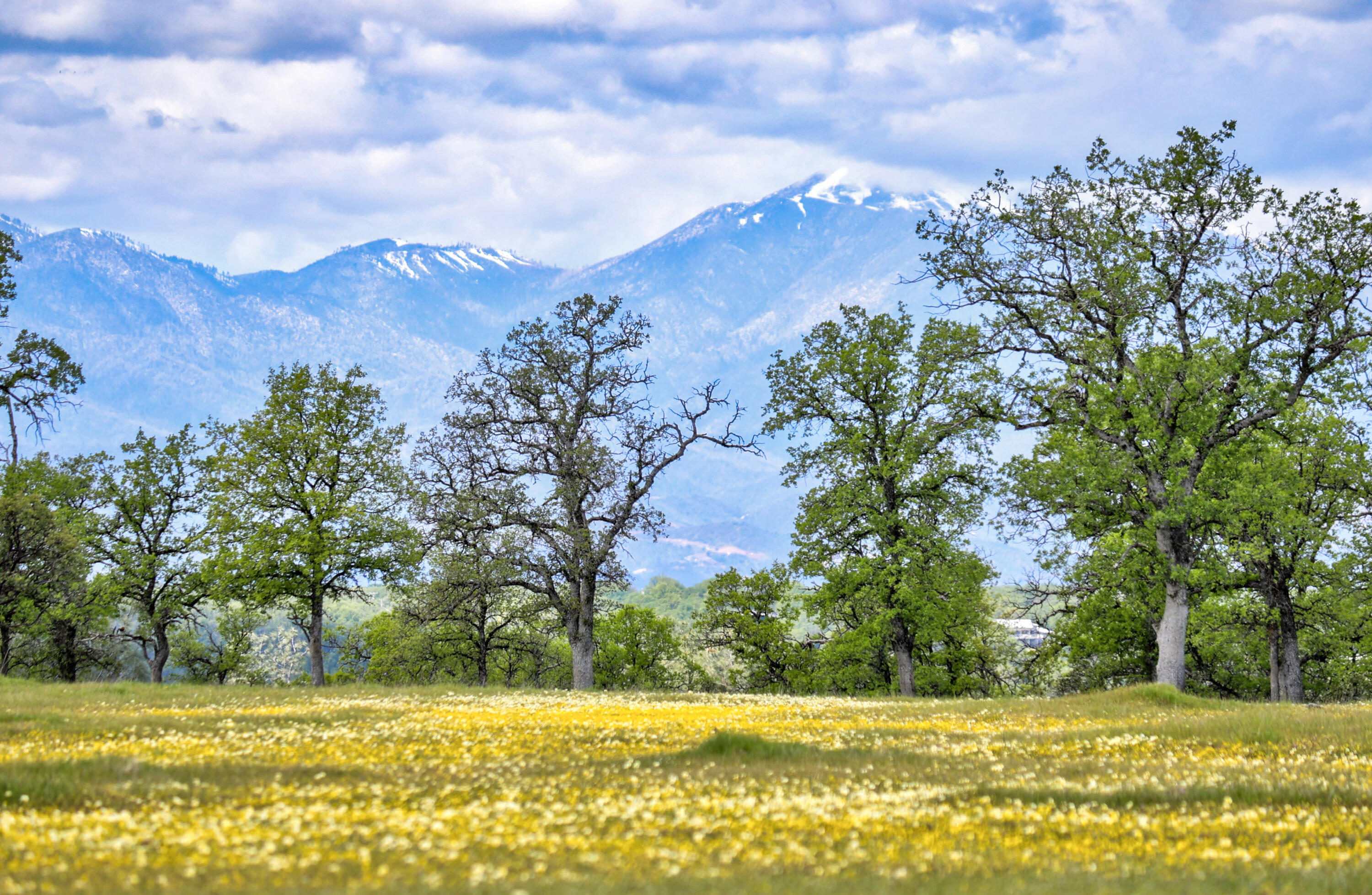 17 Bass Pond Road Palo Cedro, CA 96073 - Photo 8 of 23 Silverbridge Highlands