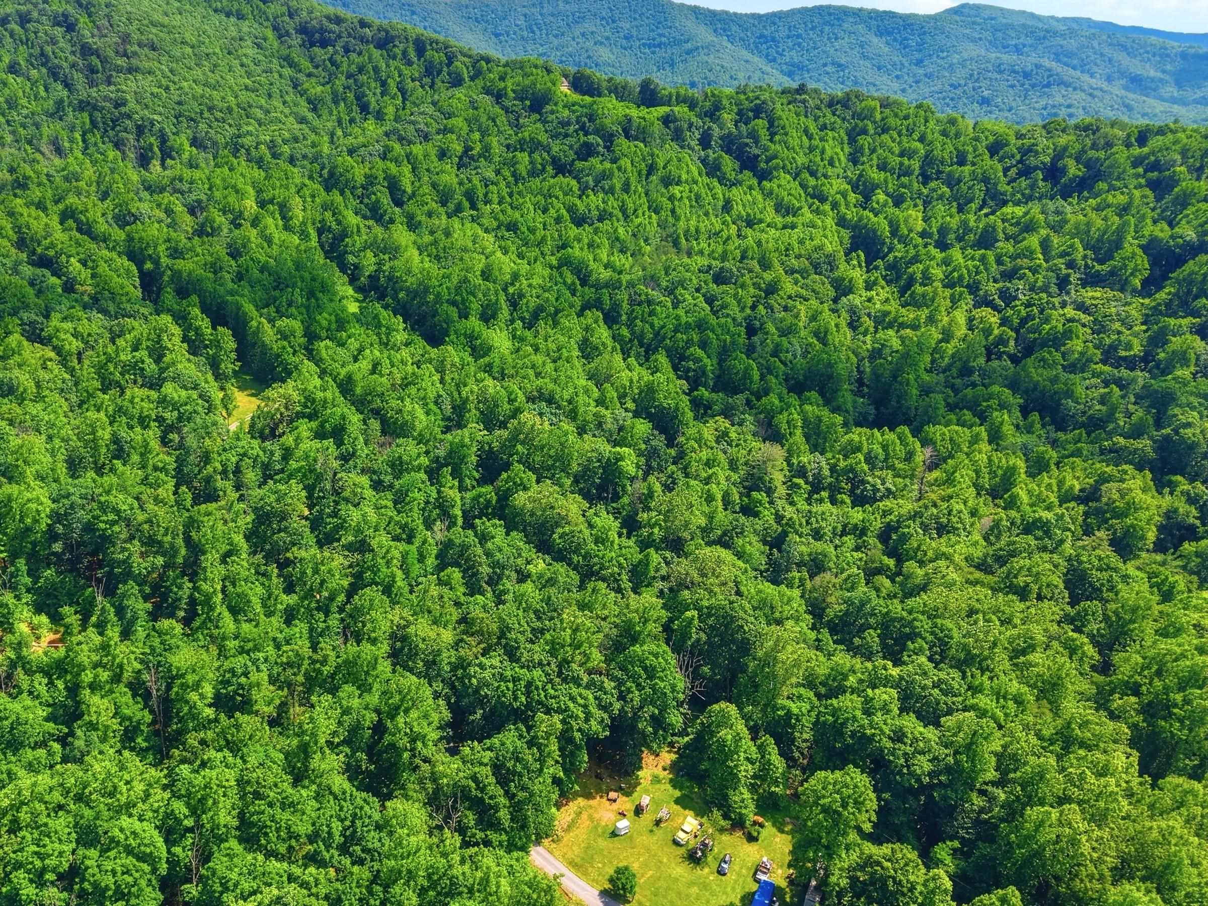 Jordan Hollow Road Stanley, VA 22851 - Photo 26 of 26