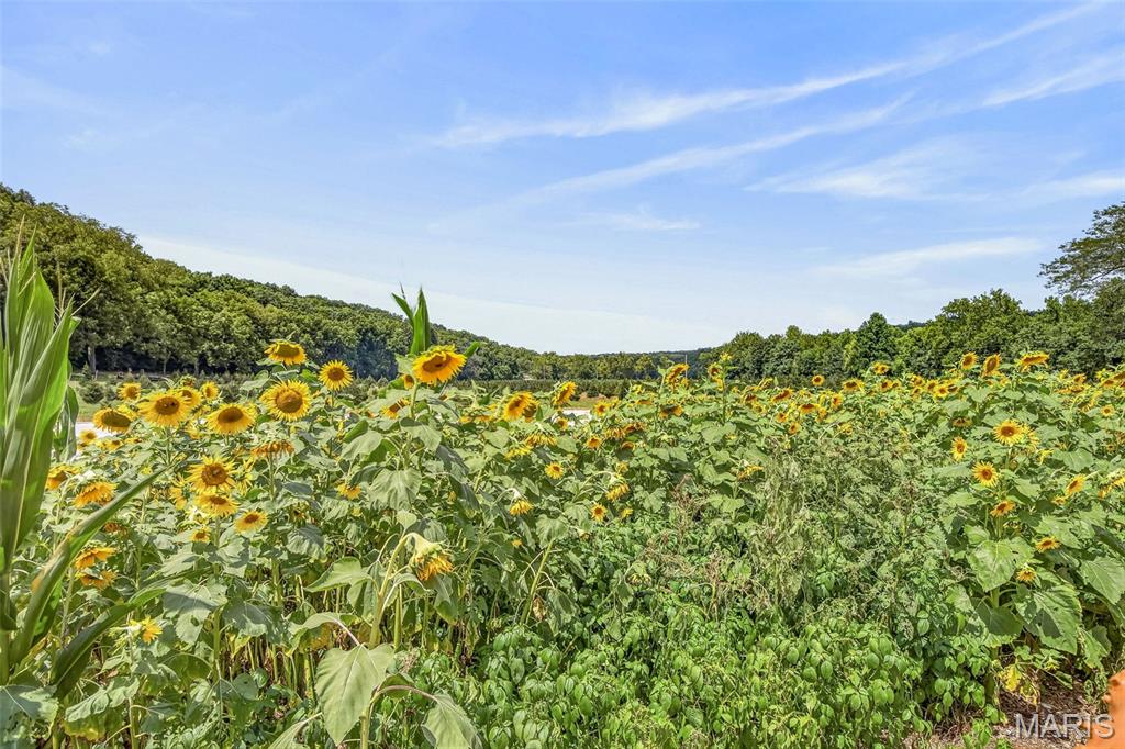 14560 Dry Fork Road Festus, MO 63028 - Photo 19 of 86 Gallery Image 19