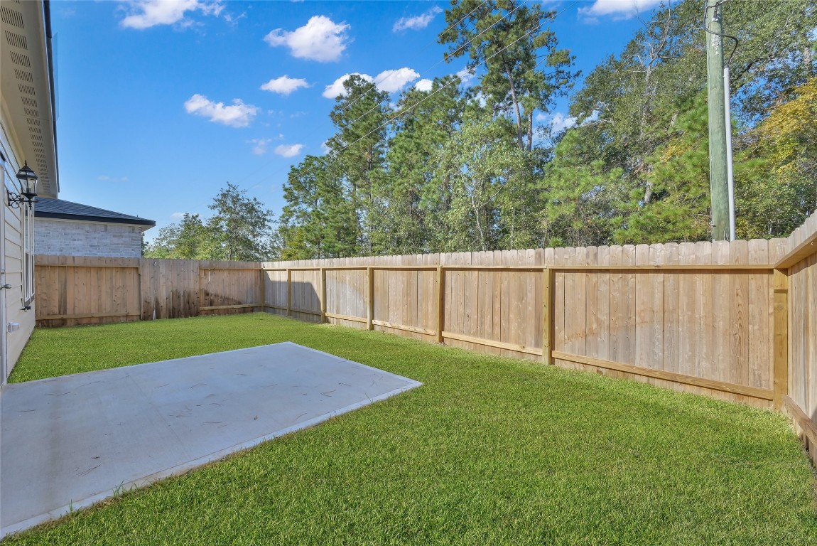 52 Ashe Juniper Way Magnolia, TX 77354 - Photo 19 of 38