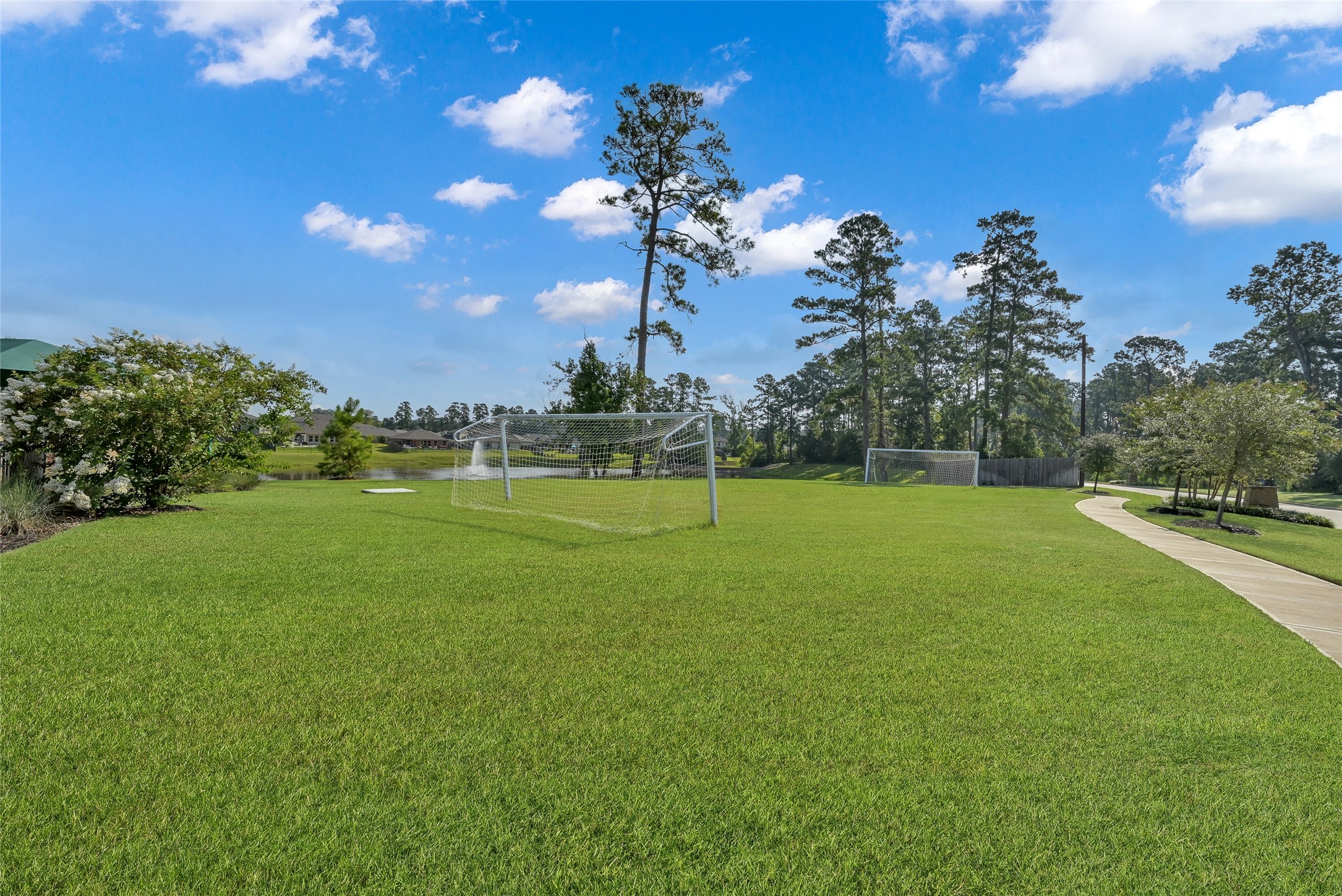 52 Ashe Juniper Way Magnolia, TX 77354 - Photo 34 of 38