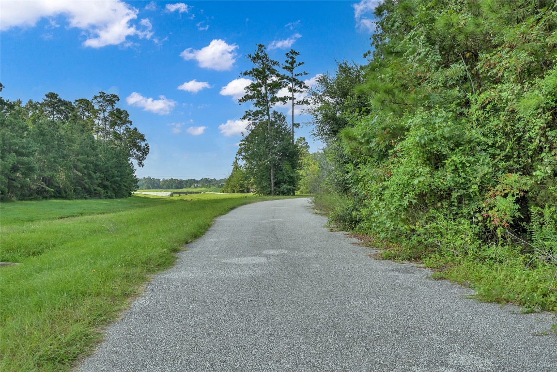 52 Ashe Juniper Way Magnolia, TX 77354 - Photo 36 of 38