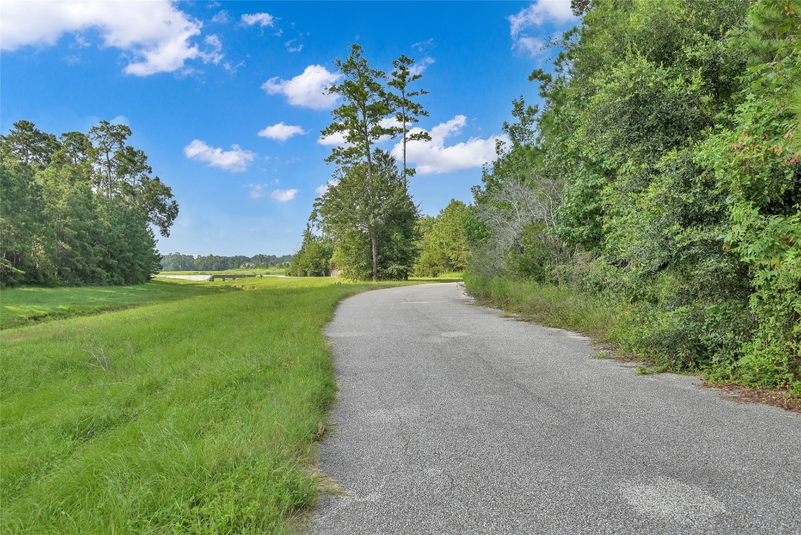 52 Ashe Juniper Way Magnolia, TX 77354 - Photo 37 of 38