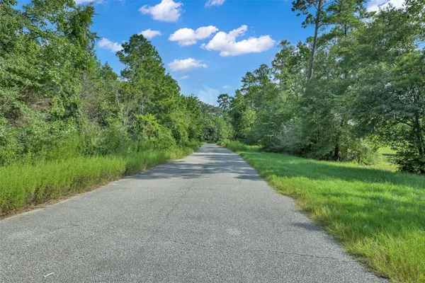 $2,350 | 52 Ashe Juniper Way, Magnolia, TX 77354
