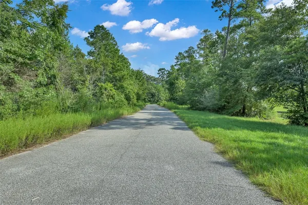 $2,350 | 52 Ashe Juniper Way, Magnolia, TX 77354