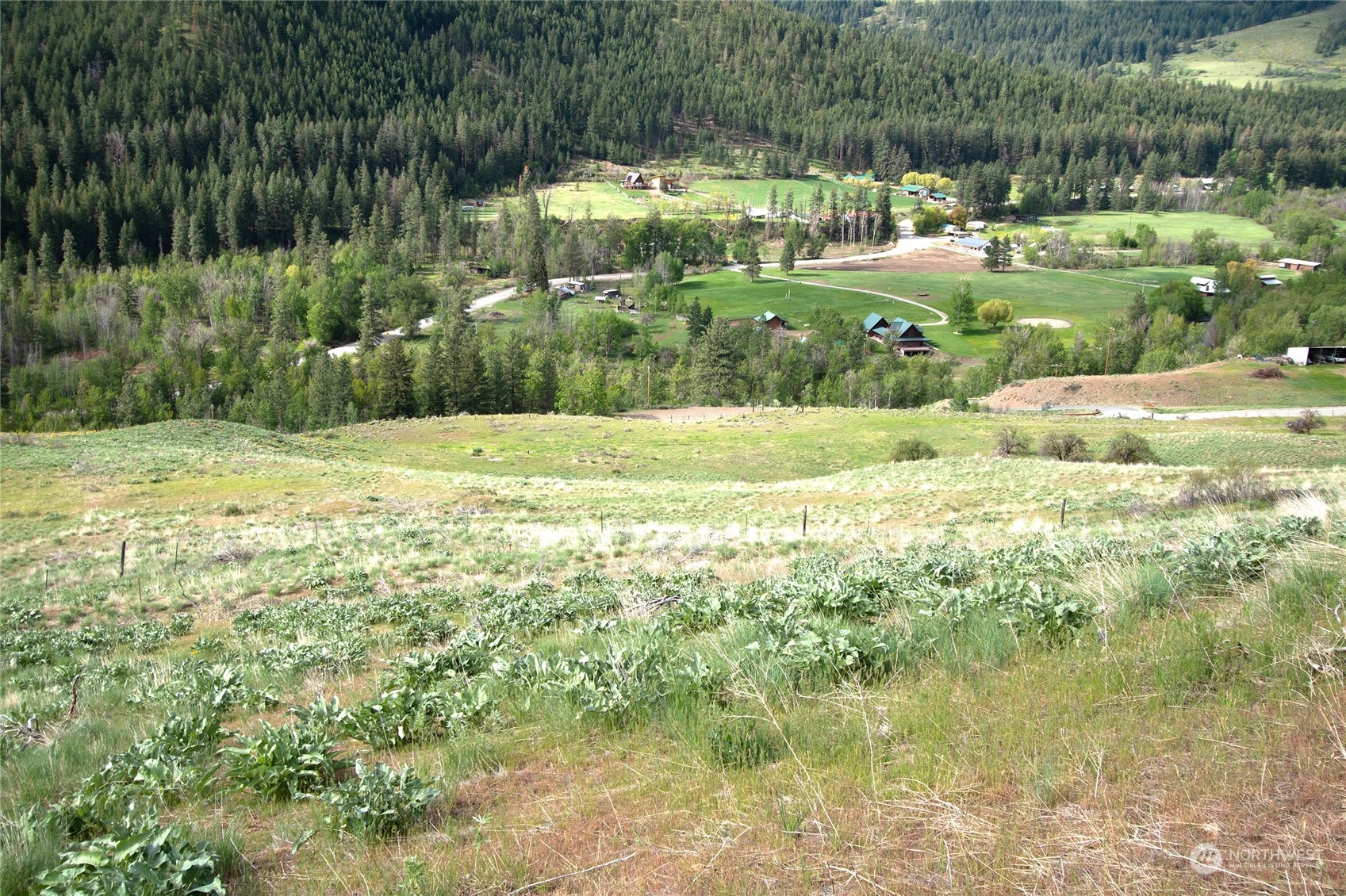 188 Twisp River Road Twisp, WA 98856 - Photo 16 of 28 Gallery Image 16