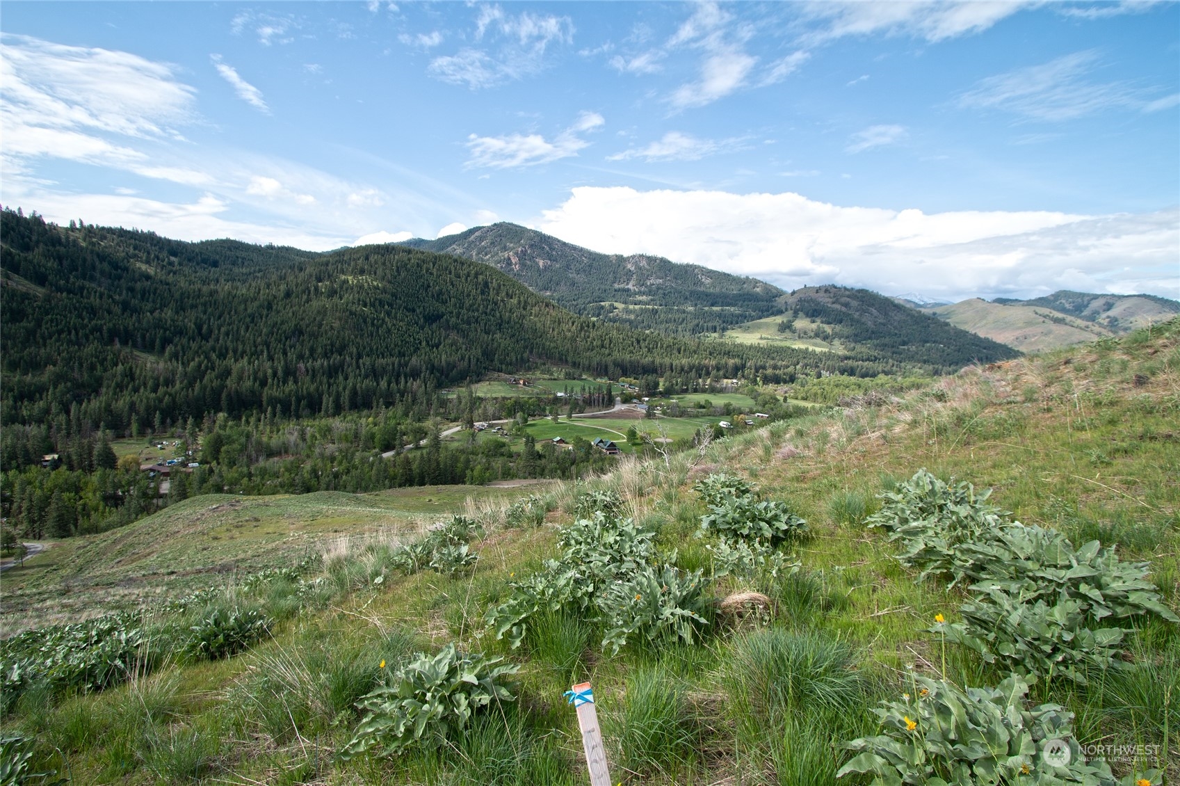 188 Twisp River Road Twisp, WA 98856 - Photo 17 of 28 Gallery Image 17