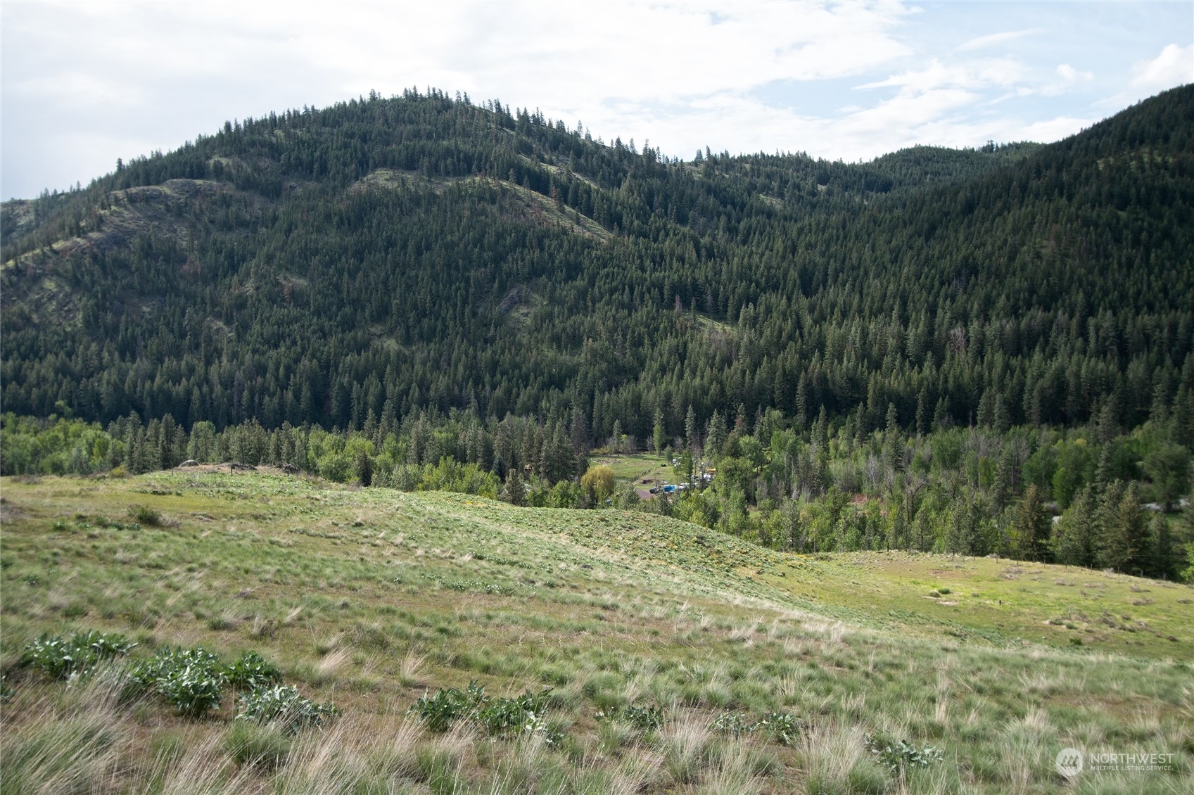 188 Twisp River Road Twisp, WA 98856 - Photo 20 of 28 Gallery Image 20