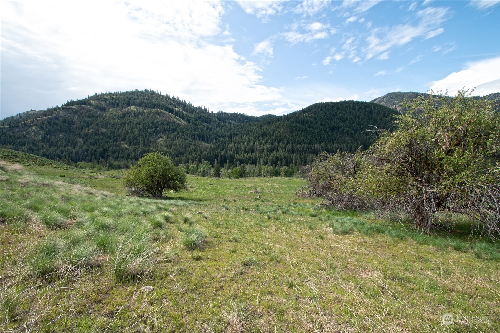 188 Twisp River Road Twisp, WA 98856 - Photo 26 of 28 Gallery Image 26