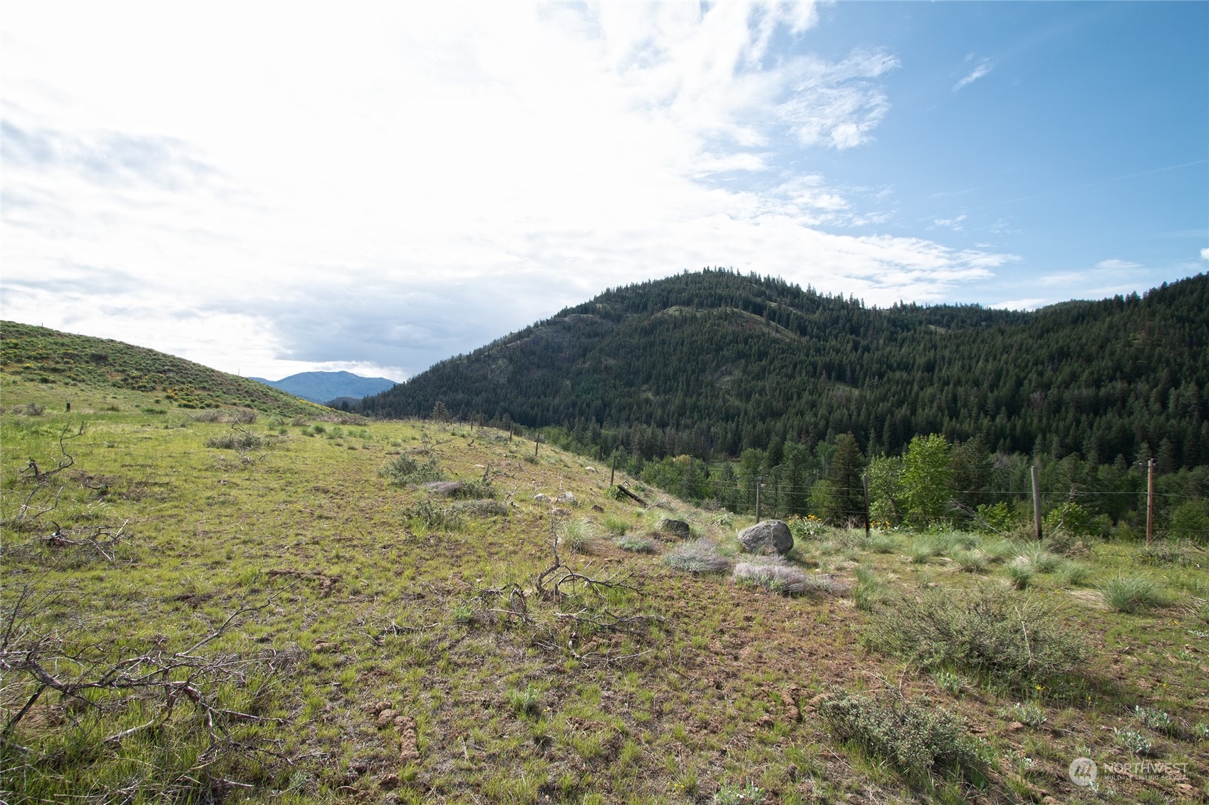 188 Twisp River Road Twisp, WA 98856 - Photo 5 of 28 Gallery Image 5