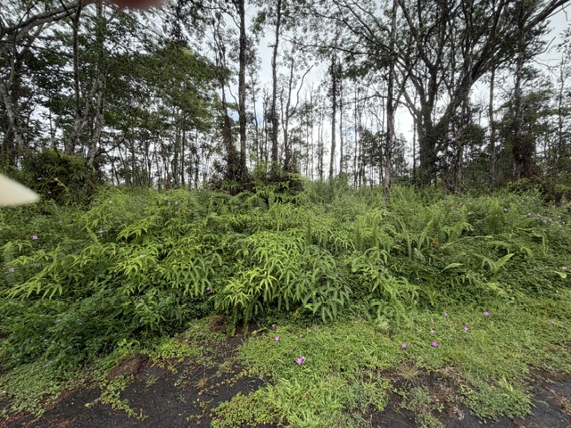 357 Puna Road Pahoa, HI 96778 - Photo 4 of 10
