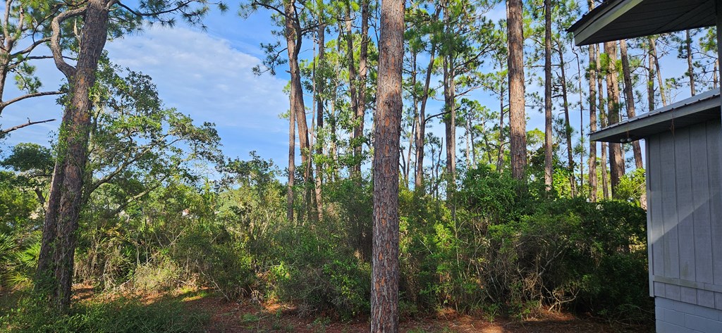 612 River Road Carrabelle, FL 32322 - Photo 20 of 27 Gallery Image 20