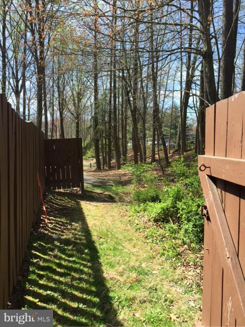 2344 Southgate Square Reston, VA 20191 - Photo 24 of 25 Can you believe this beauty? Leads to sidewalks!