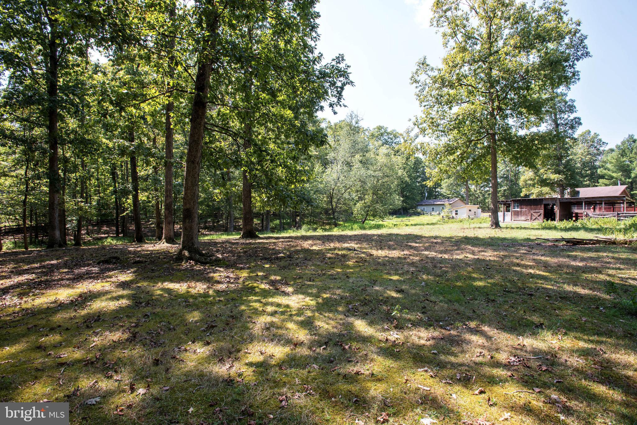 105 Eley Road Fredericksburg, VA 22406 - Photo 36 of 38 Yard