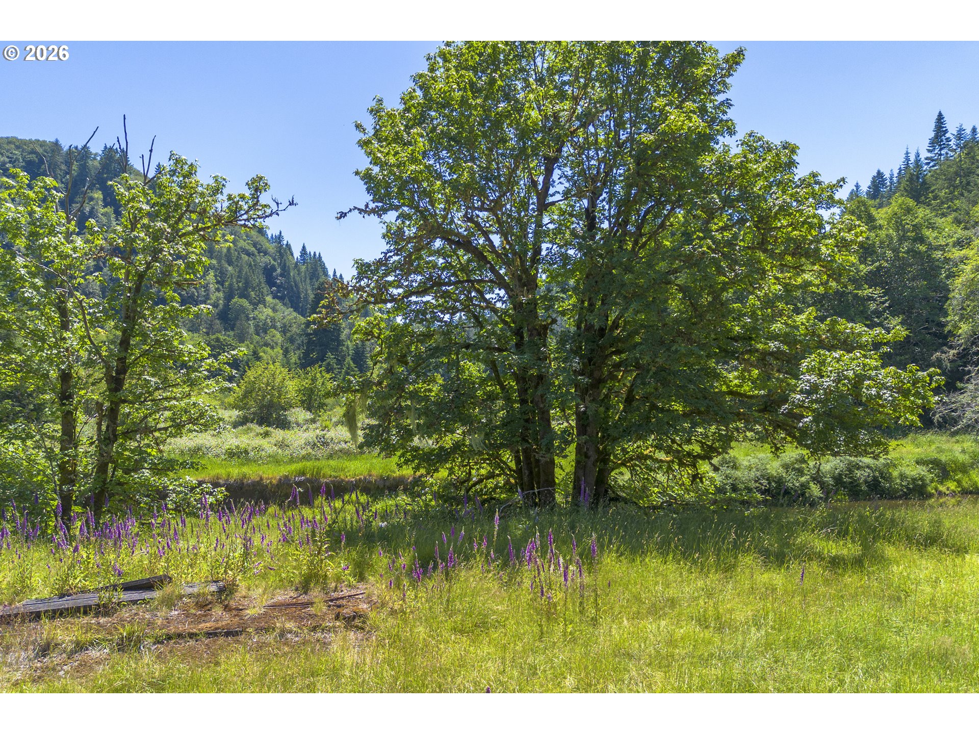 81165 81167th Road Seaside, OR 97138 - Photo 45 of 48 Acreage