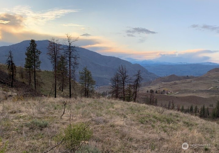 76 Chelan Hills Acres Road Orondo, WA 98843 - Photo 7 of 12 a view of a dry yard with mountains in the background