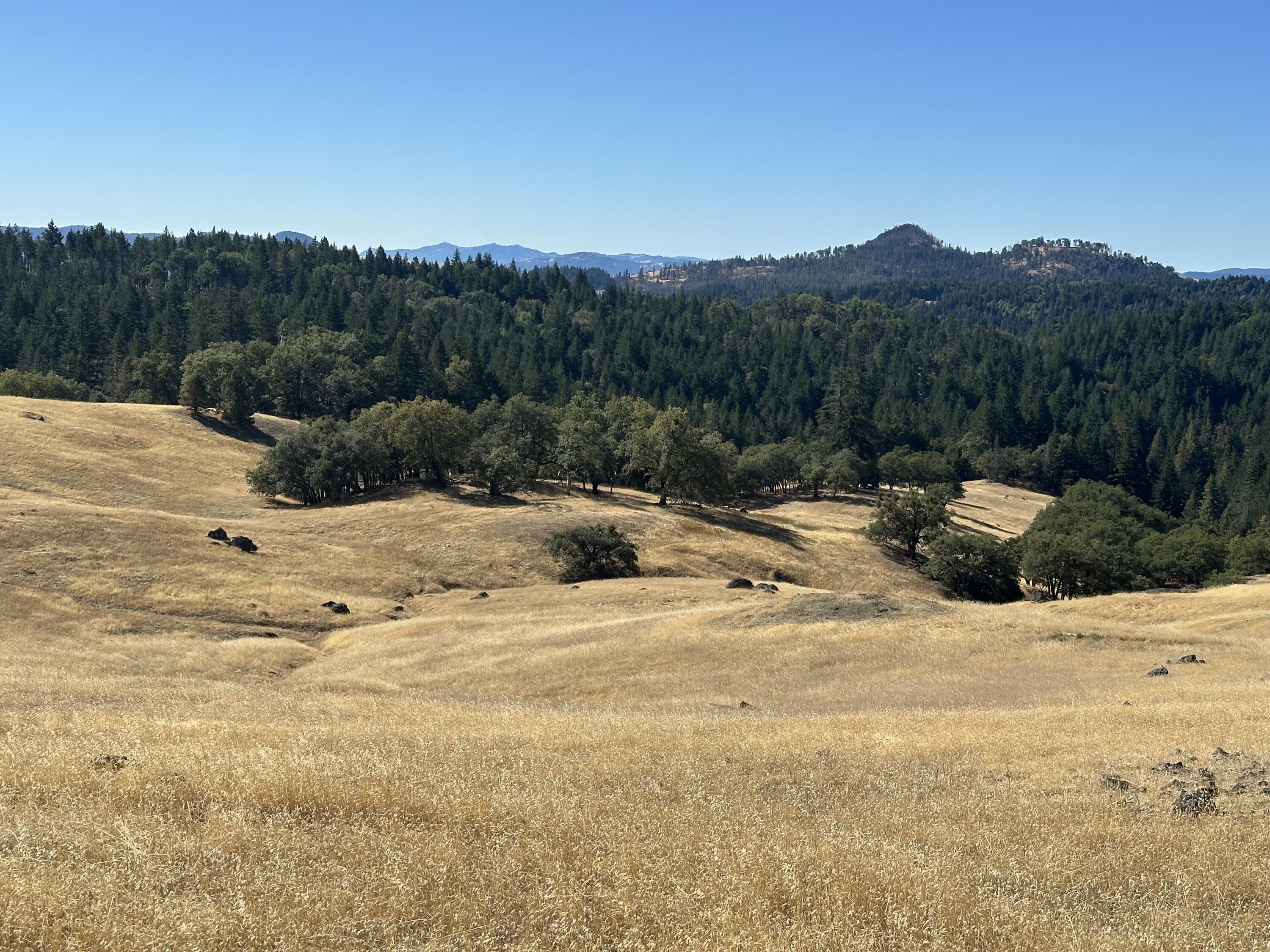 751 Lassic's Lookout Road Zenia, CA 95595 - Photo 20 of 29