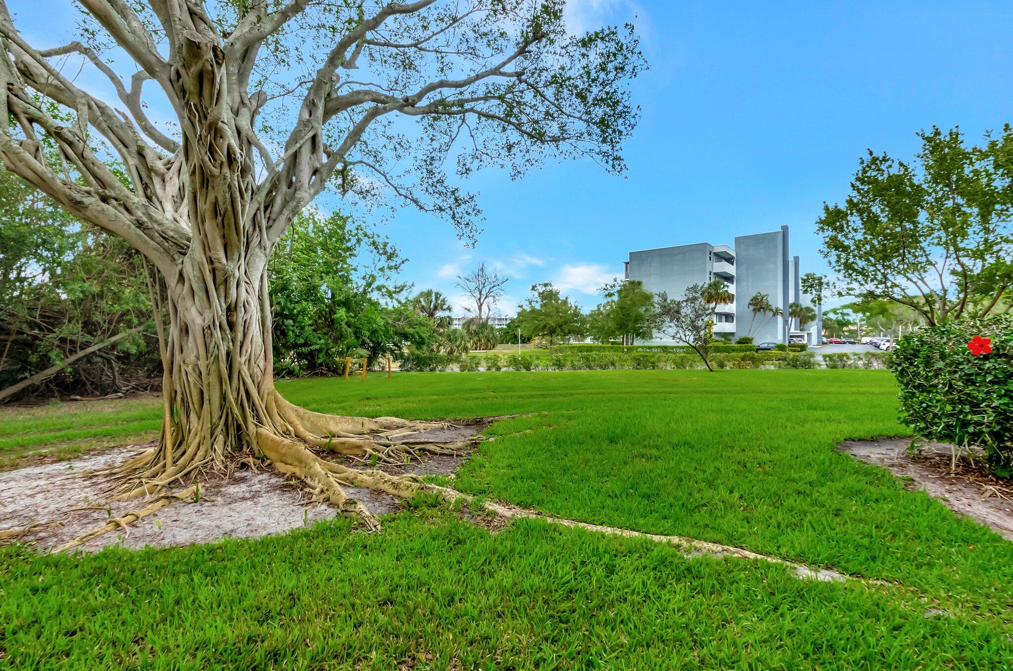 6461 Northwest 2nd Avenue, Unit 1160 Boca Raton, FL 33487 - Photo 23 of 26 a view of a park with large trees