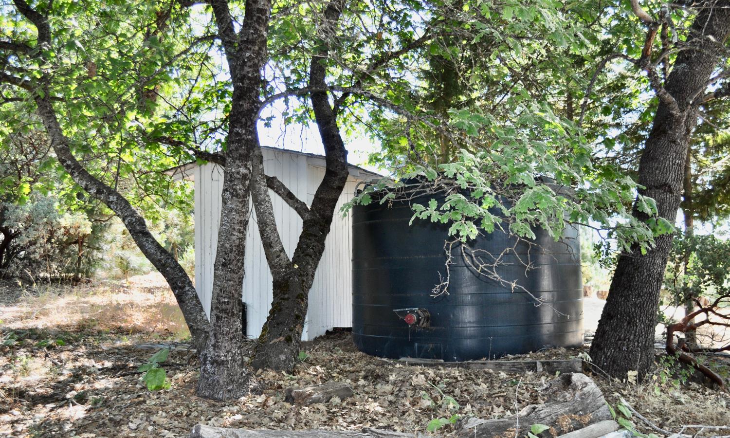 53210 Meadow Ranch Road North Fork, CA 93643 - Photo 40 of 40 Gallery Image 40