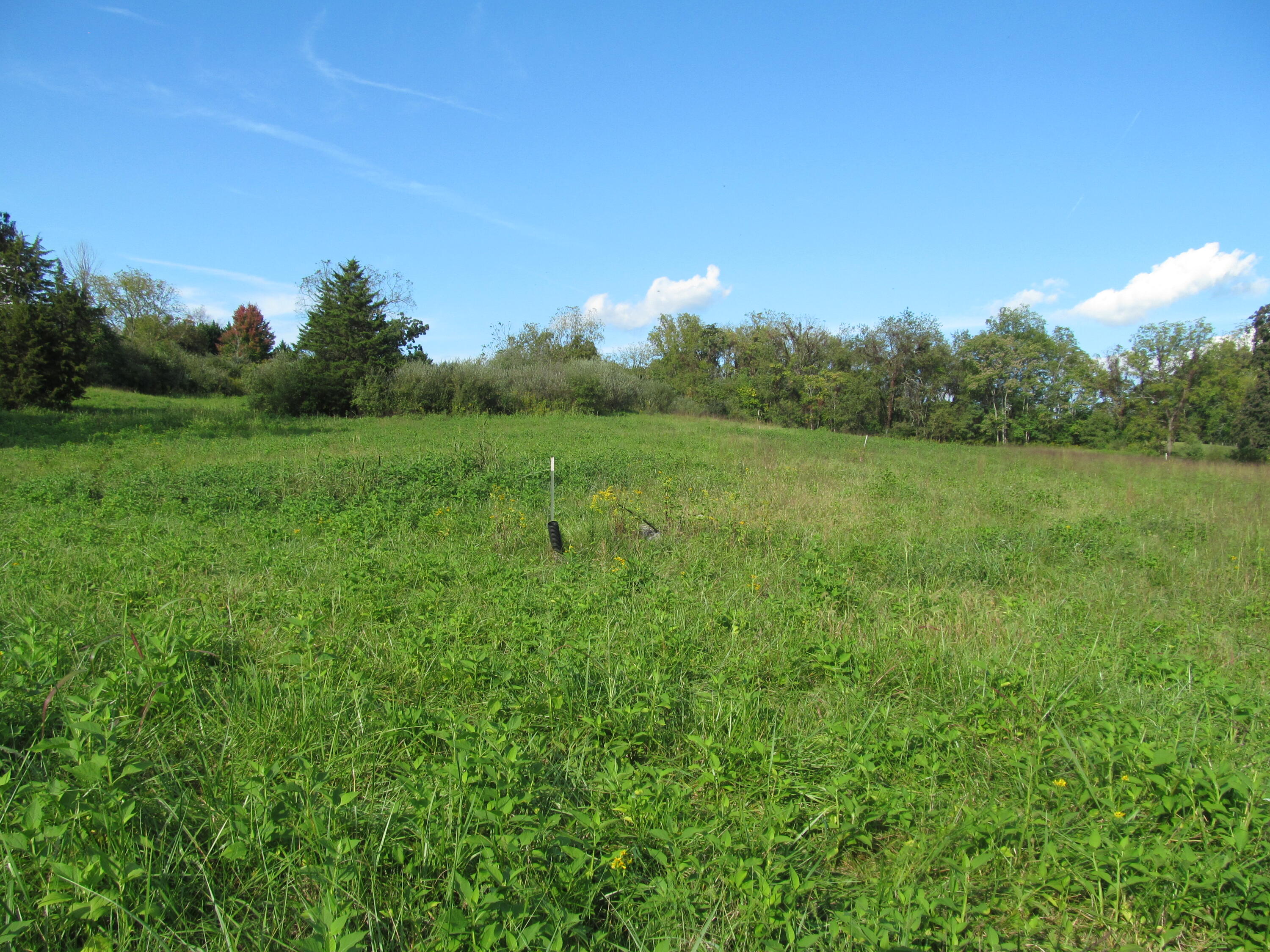 0 Goad Road Fincastle, VA 24090 - Photo 1 of 9 5.4Ac Goad Rd