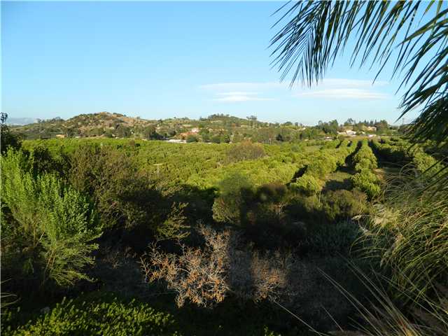 11742 Betsworth Road Valley Center, CA 92082 - Photo 21 of 21