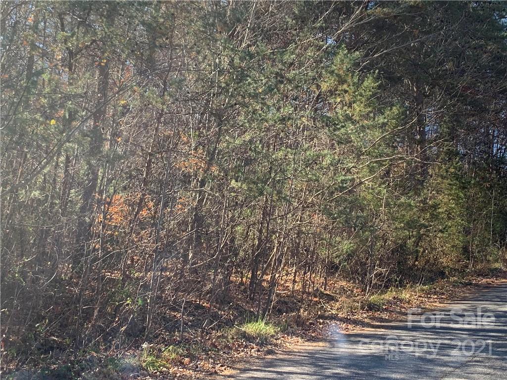 4758 Ponderosa Road Morganton, NC 28655 - Photo 1 of 3 Gallery Image 1