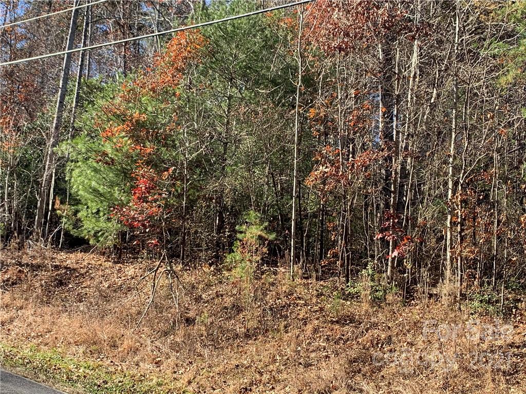 4758 Ponderosa Road Morganton, NC 28655 - Photo 3 of 3 Gallery Image 3