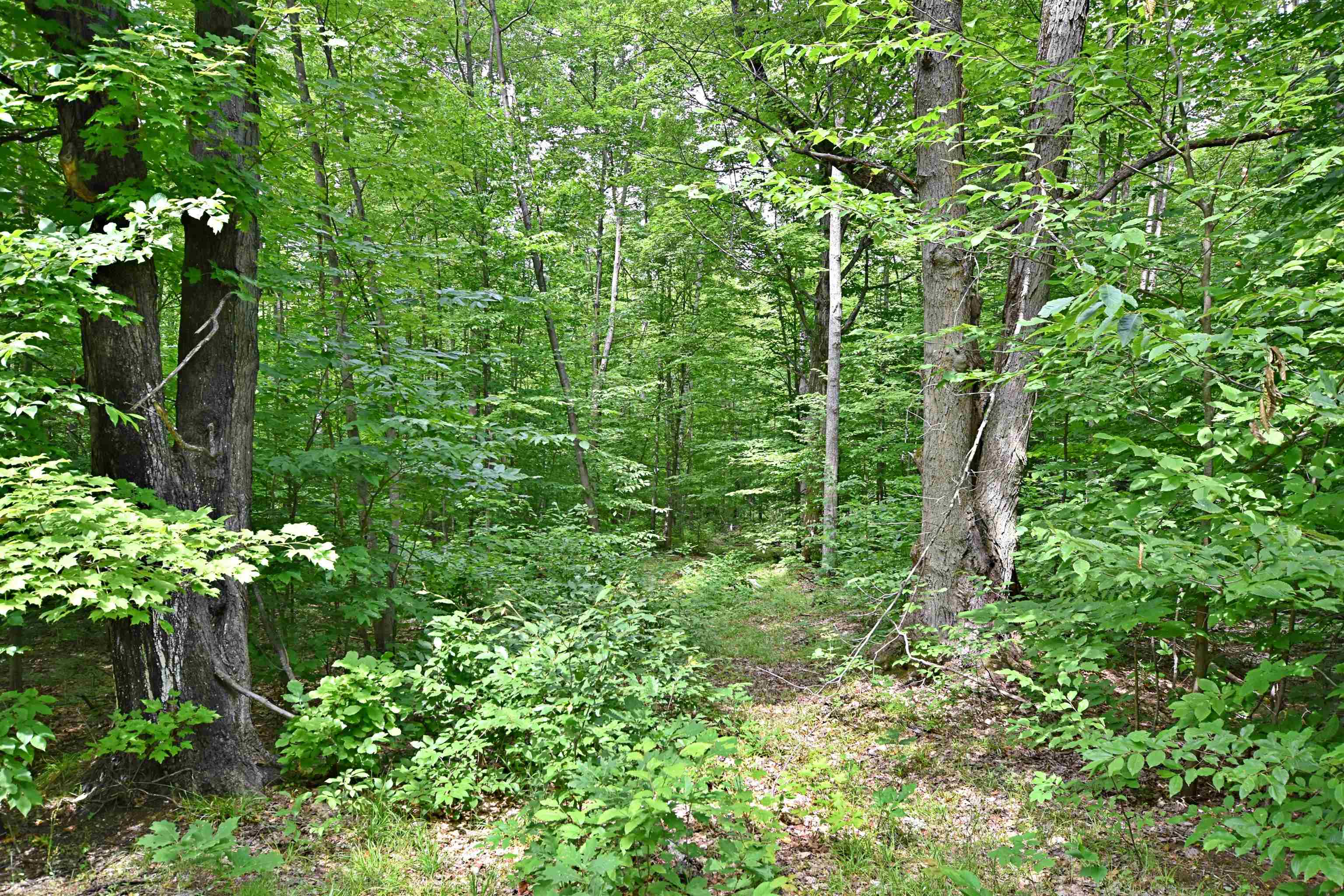 Vl 00 Cherry Hill Road Fife Lake, MI 49633 - Photo 3 of 26