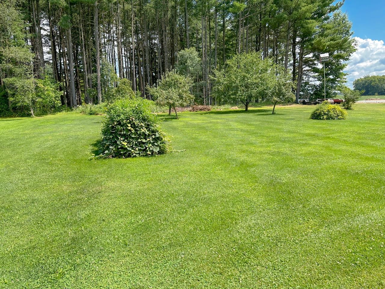 4202 North Alamando Road Coleman, MI 48618 - Photo 10 of 40