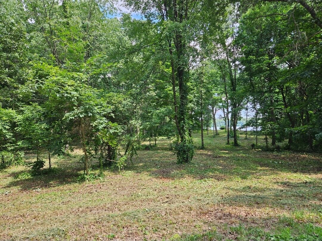23-24 James Drive Three Rivers, MI 49093 - Photo 1 of 22 James Drive property pic 1