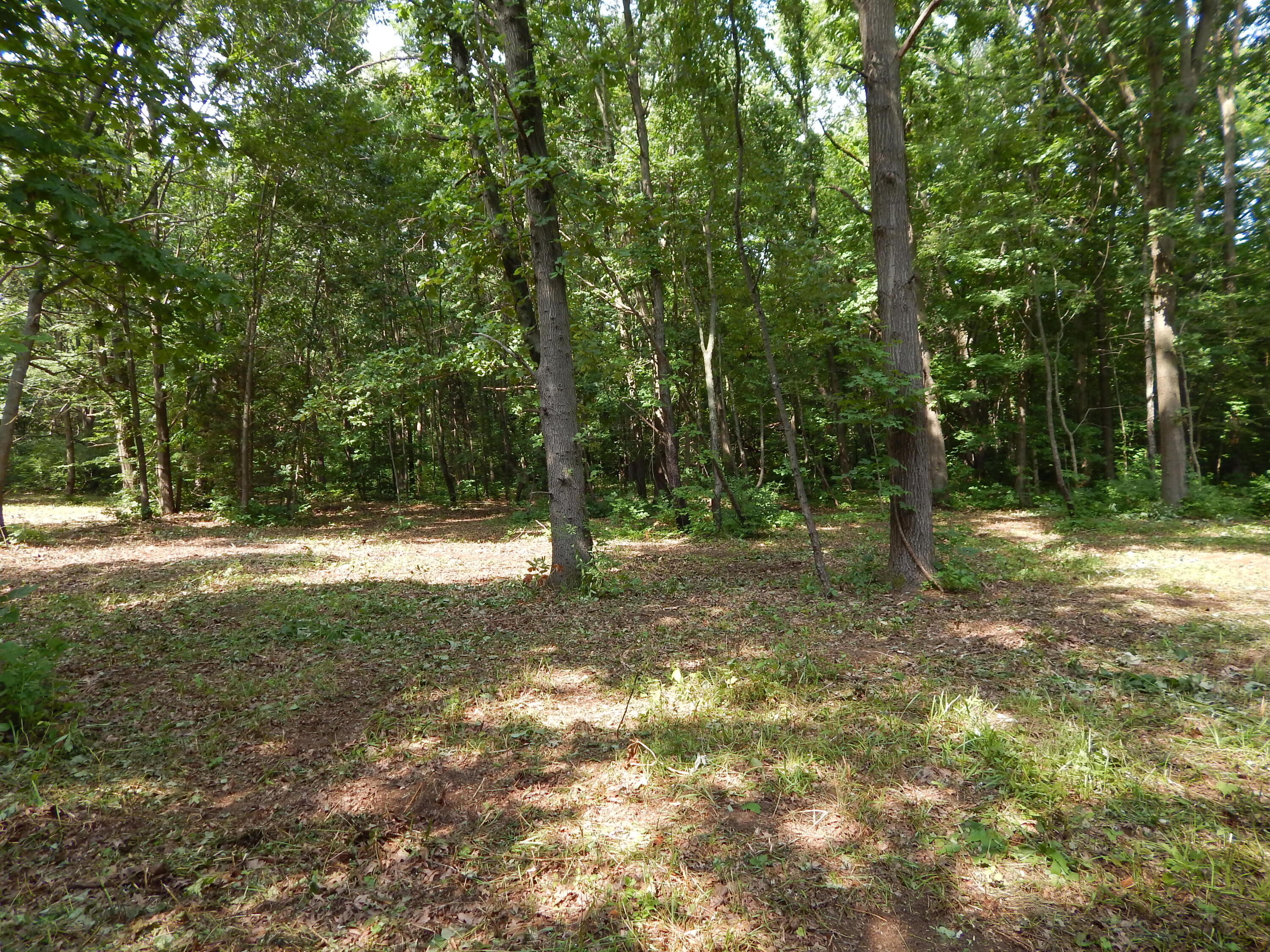 23-24 James Drive Three Rivers, MI 49093 - Photo 14 of 22 DSCN6335