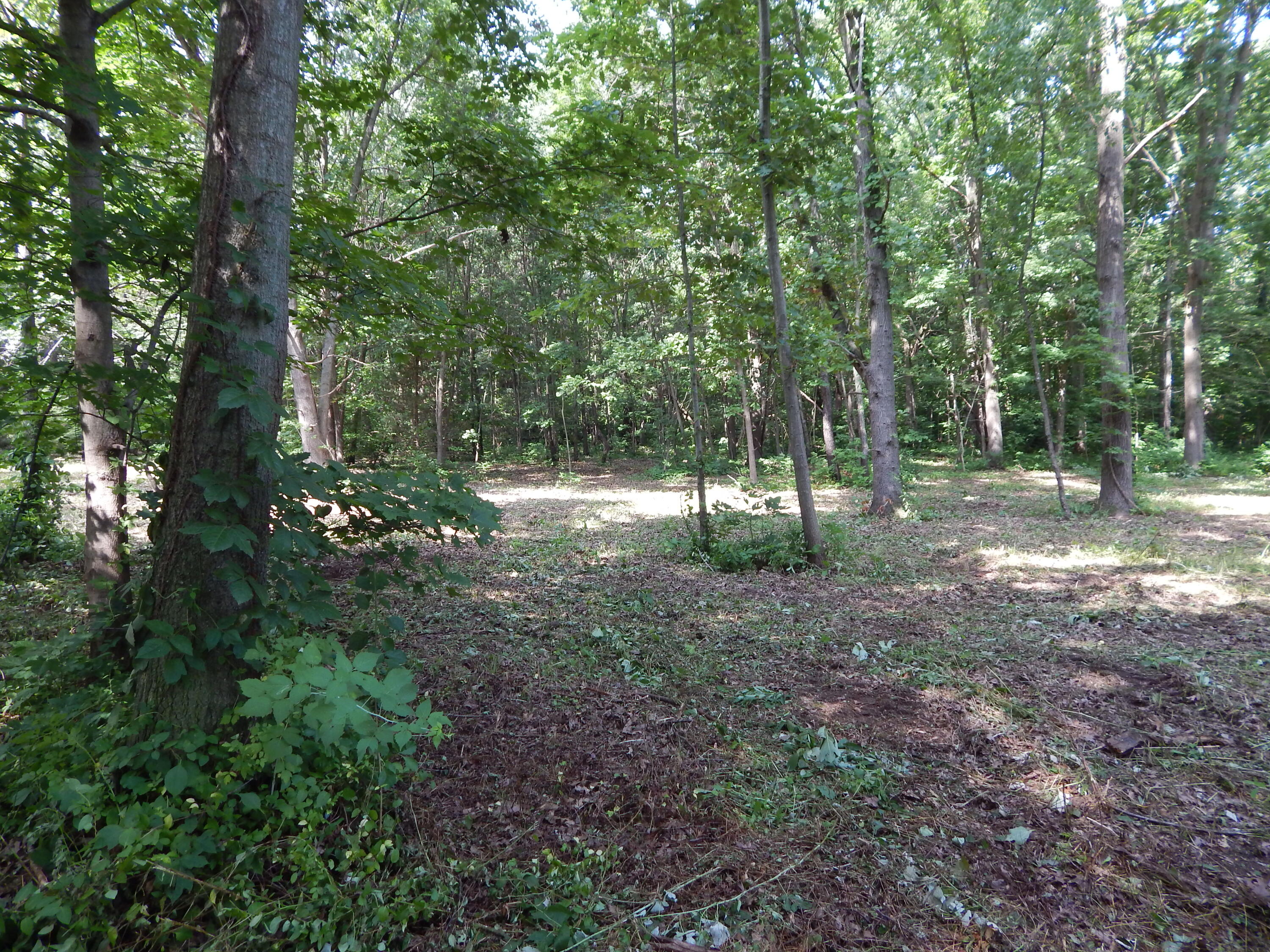23-24 James Drive Three Rivers, MI 49093 - Photo 9 of 22 DSCN6322