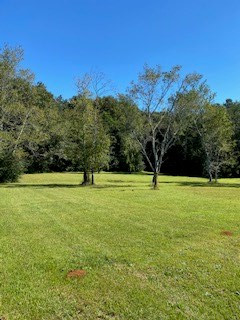 6105 Dubose Siding Road Sumter, SC 29153 - Photo 34 of 49 Gallery Image 34