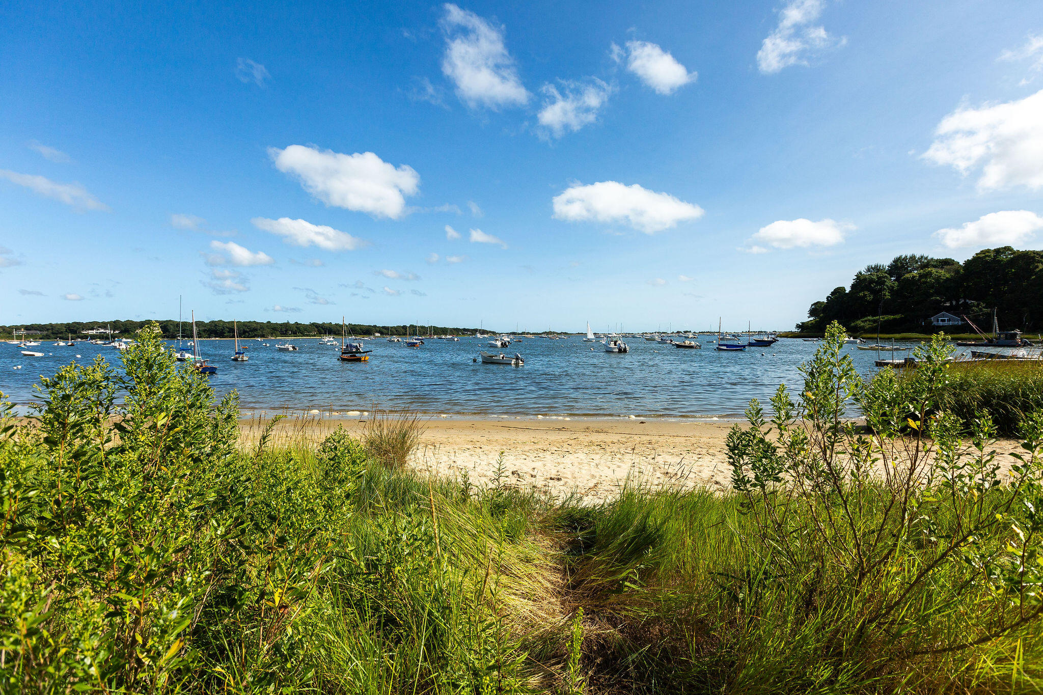 49 Putnam Avenue Cotuit, MA 02635 - Photo 96 of 97 Beach Path