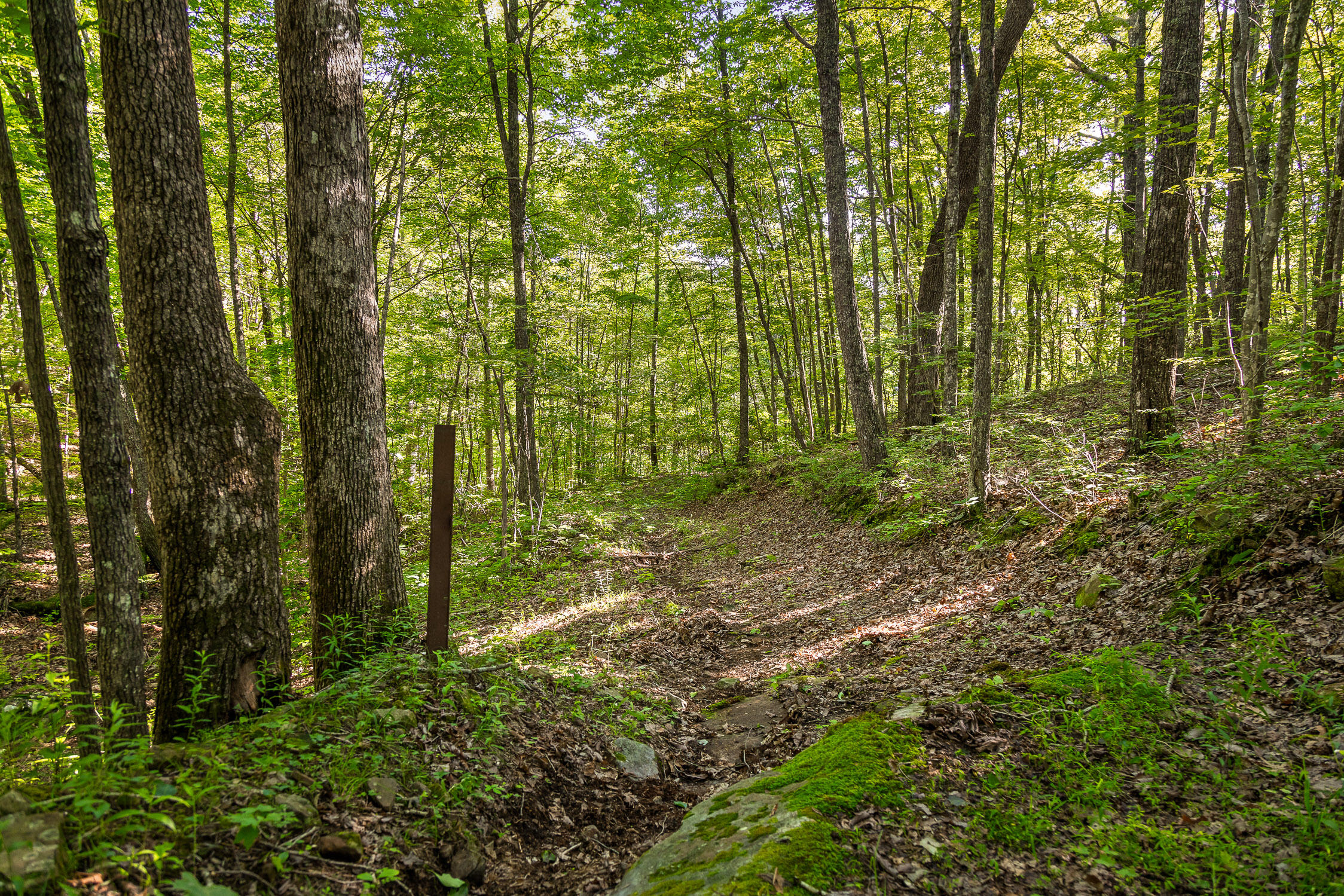 0 Brayton Road, Unit 16 Graysville, TN 37338 - Photo 3 of 12 Roaring Creek Farms-95