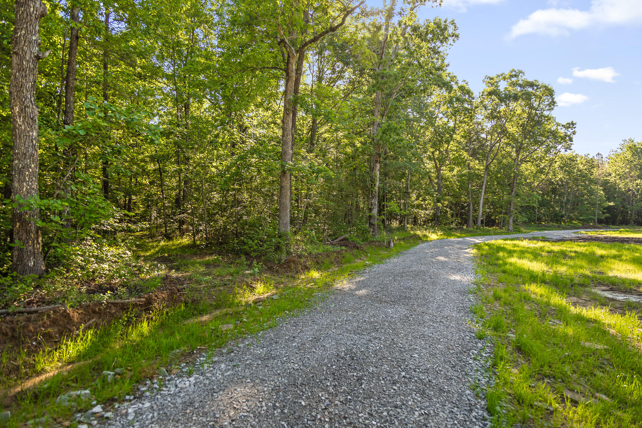0 Brayton Road, Unit 16 Graysville, TN 37338 - Photo 7 of 12 Roaring Creek Farms-79