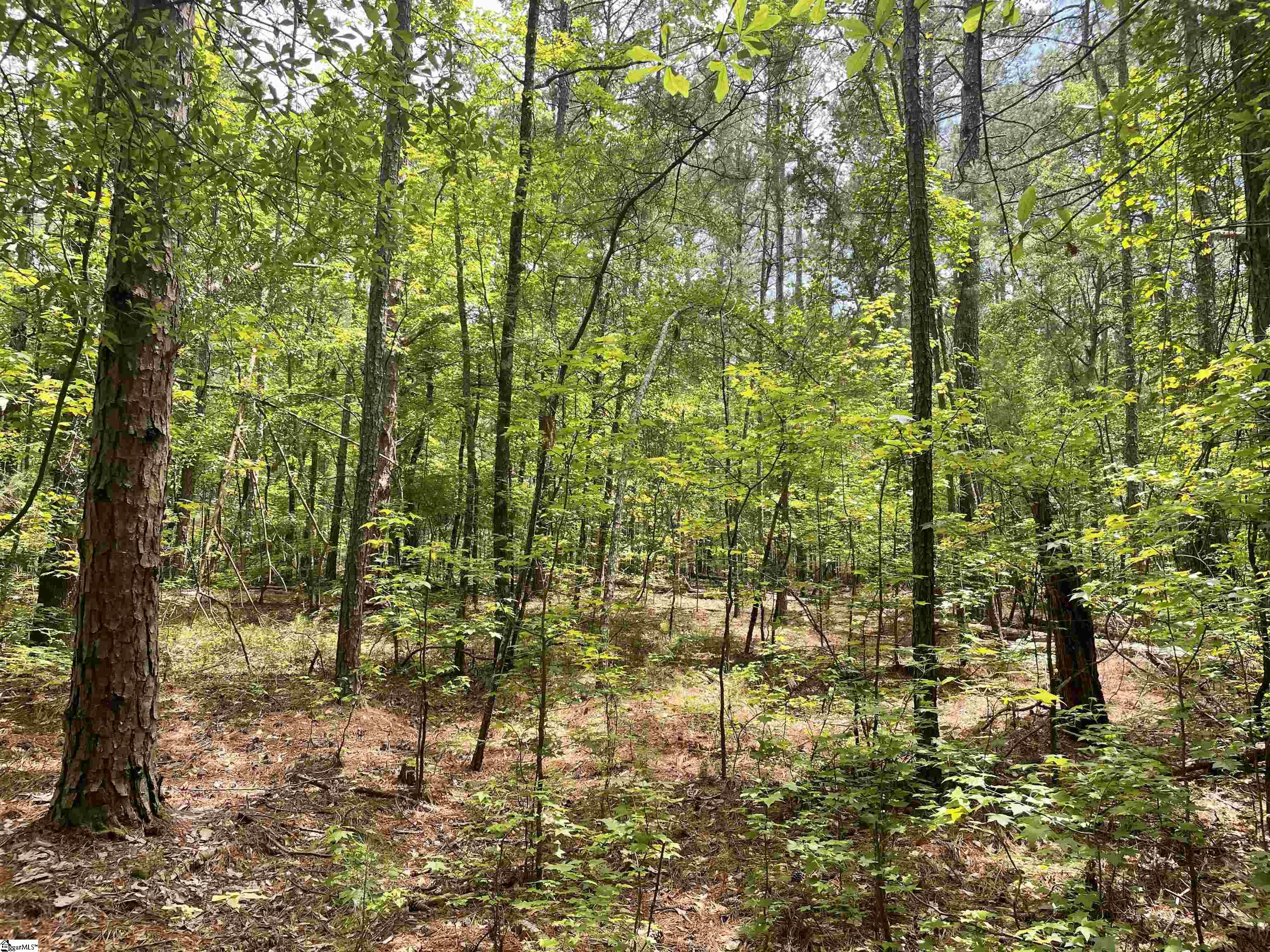 5 Clatworthy Road, Unit LOT 5 Honea Path, SC 29654 - Photo 5 of 19