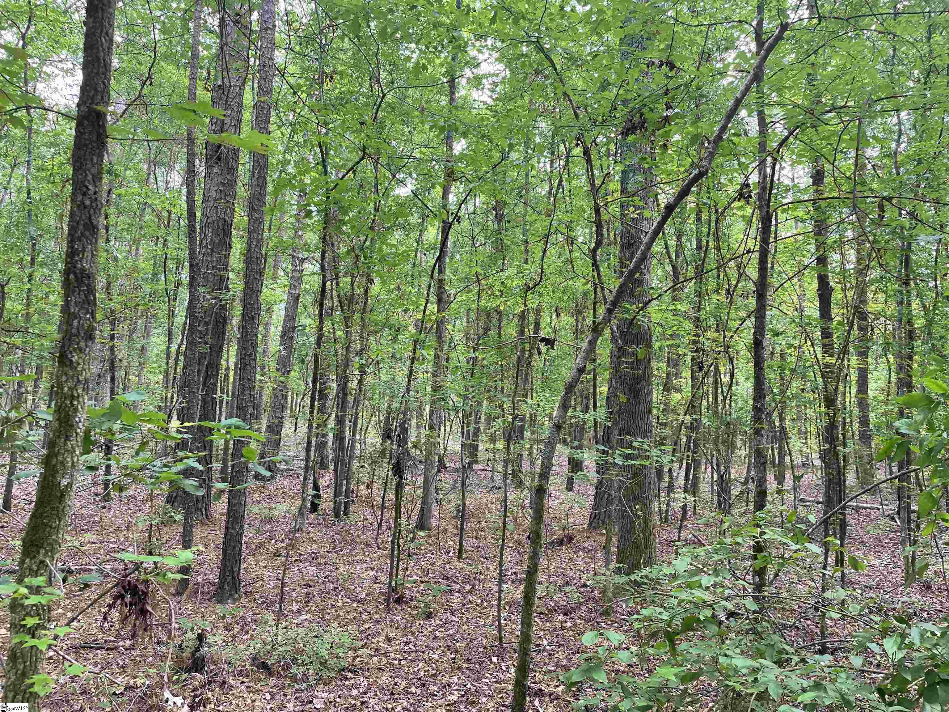 5 Clatworthy Road, Unit LOT 5 Honea Path, SC 29654 - Photo 7 of 19