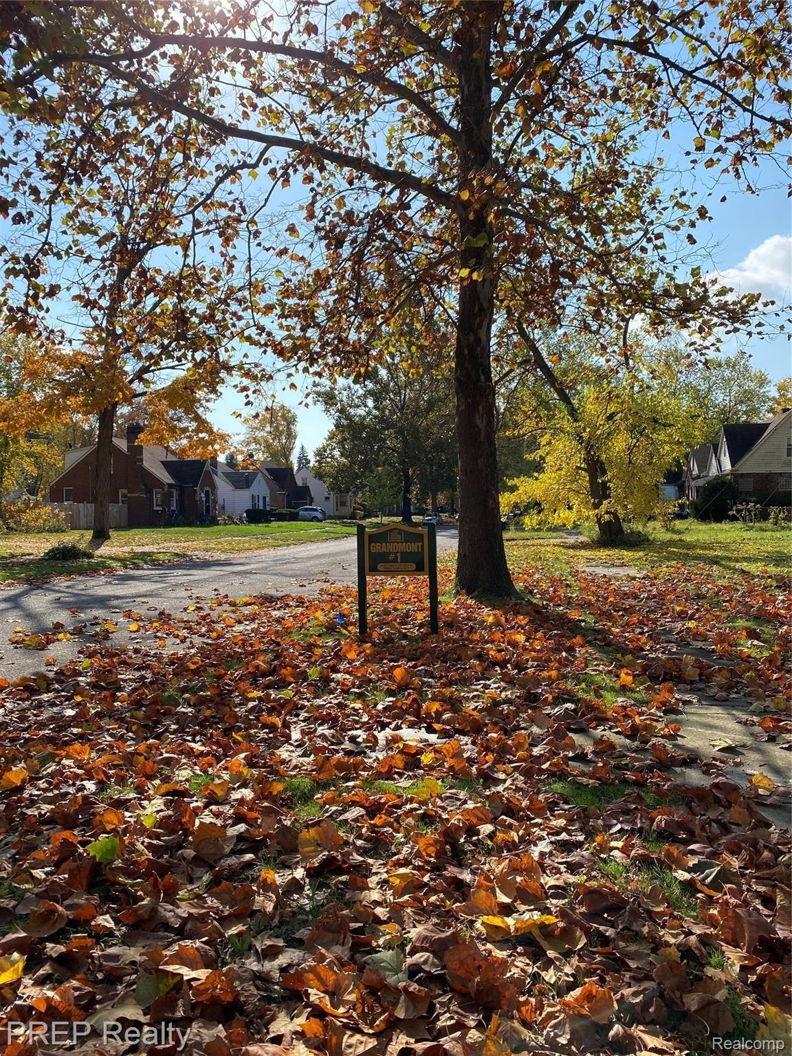 14168 Stahelin Road Detroit, MI 48223 - Photo 20 of 22 Homes Beautifully Set Amongst the Trees