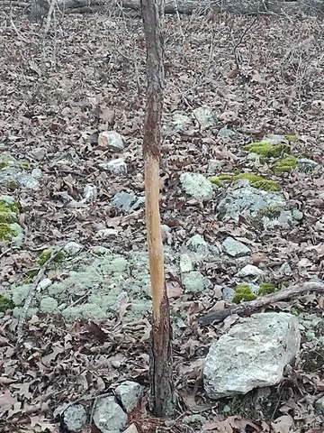 $115,000 | 0 Moonshine Pass, Salem, MO 65560