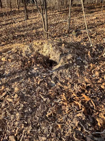 $115,000 | 0 Moonshine Pass, Salem, MO 65560