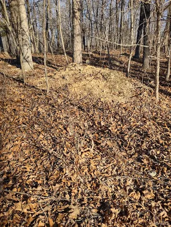 $115,000 | 0 Moonshine Pass, Salem, MO 65560