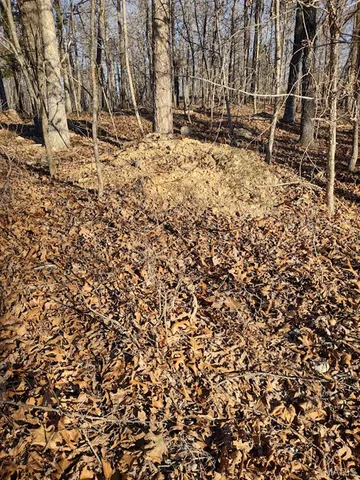 $115,000 | 0 Moonshine Pass, Salem, MO 65560